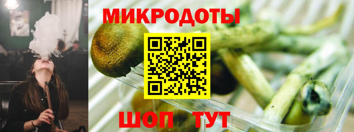 Тайшет  Галлюциногенные грибы мицелий  Вход с VPN 